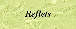 reflets